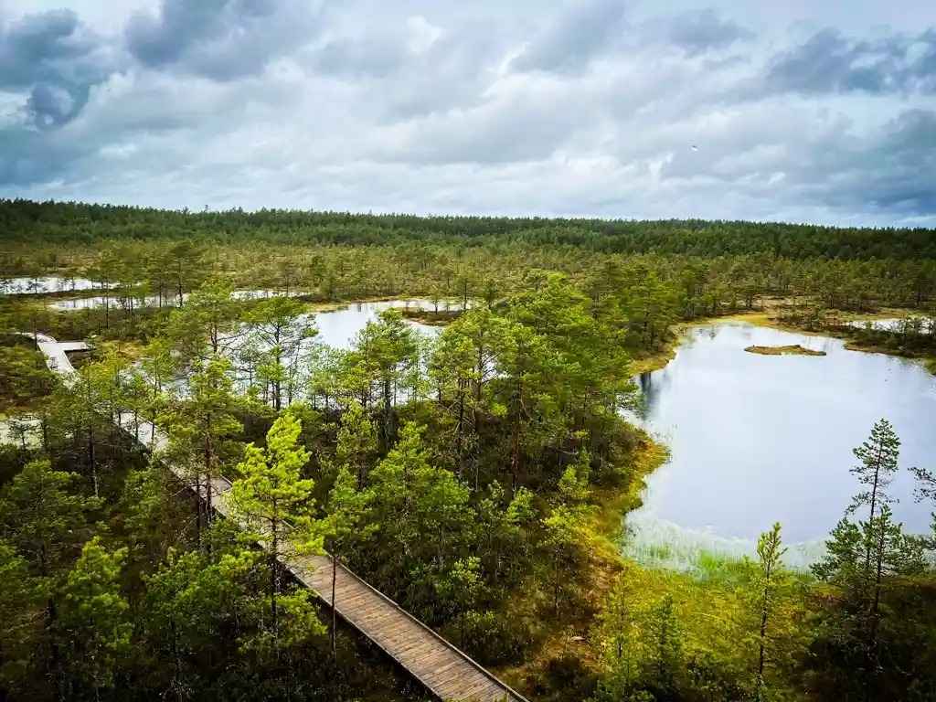 a day in lahemaa national park