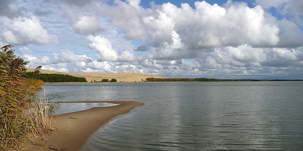 Birdwatching at Nida Lithuania