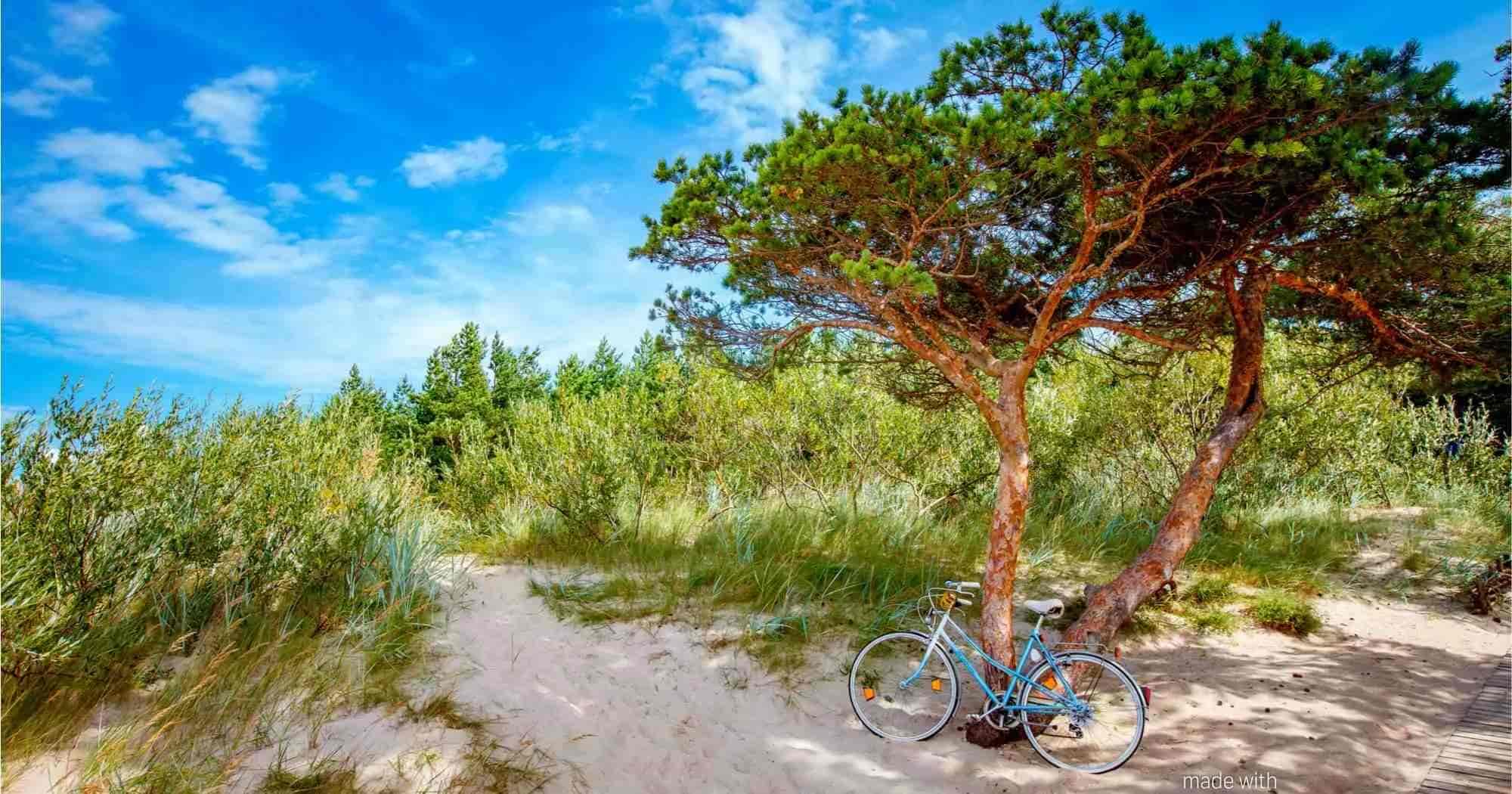 cycling-along-the-nida-lithuanian-seaside