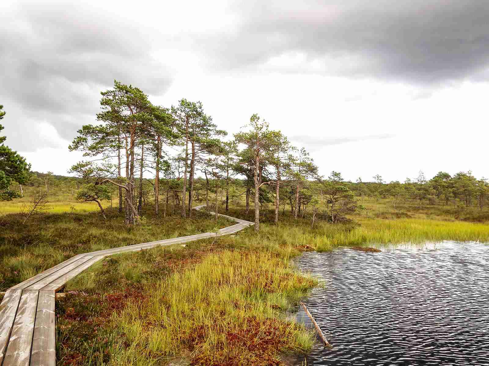 soomaa national park