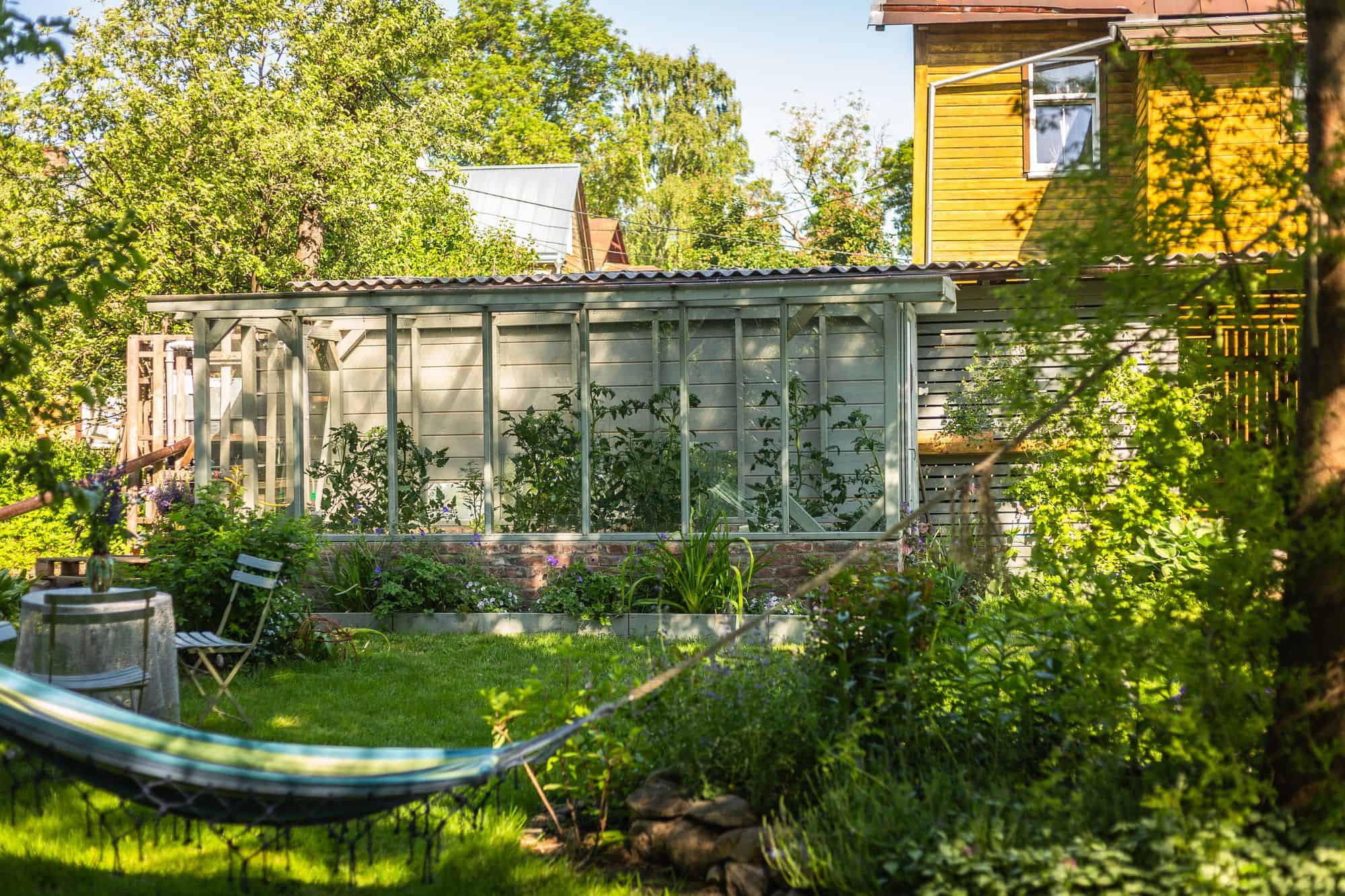 This image shows a cozy backyard garden located in the Supilinn district of Tartu, Estonia.