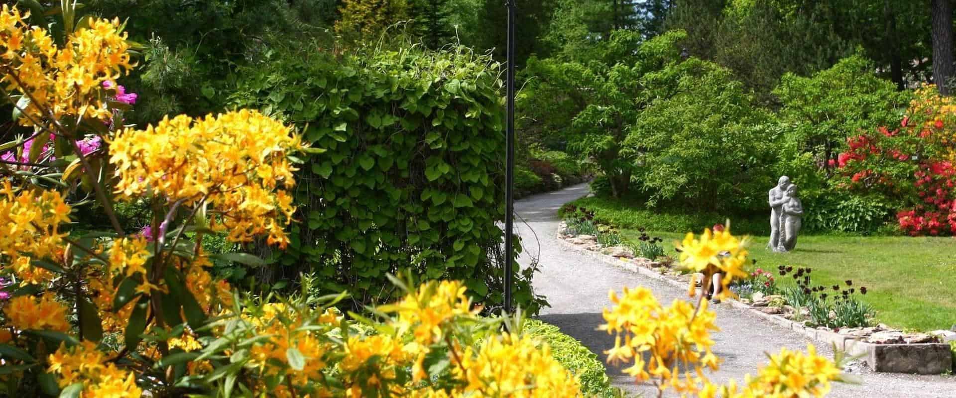 This image shows a scenic path within the University of Tartu Botanical Garden in Estonia.