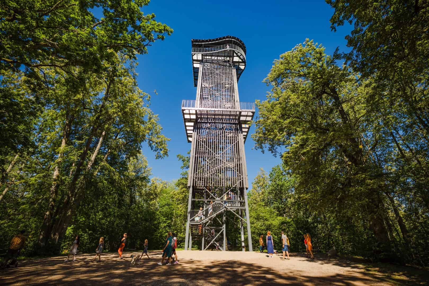 This image shows the Zilākalns Observation Tower located in Latvia