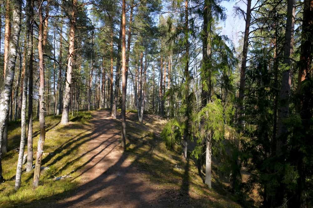 green dune trial at kemeri national park