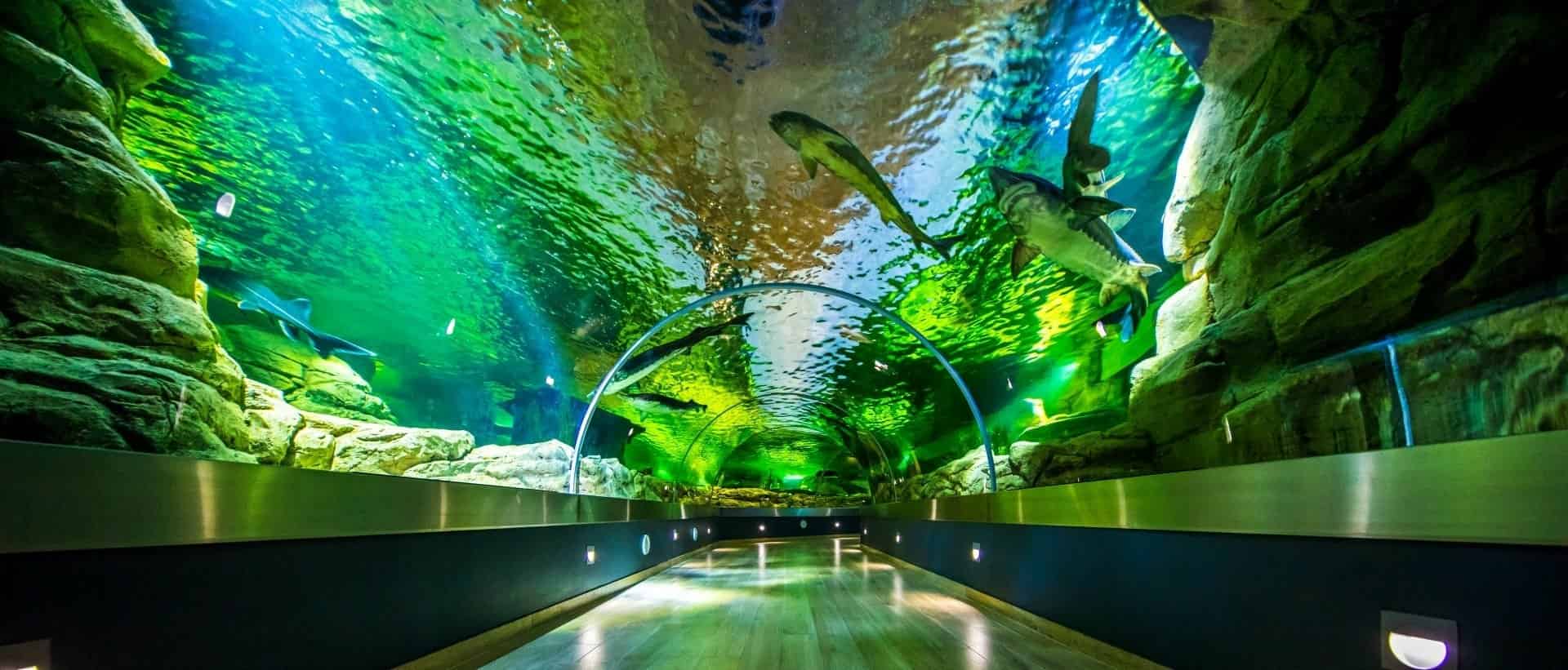 Lithuanian Sea Museum