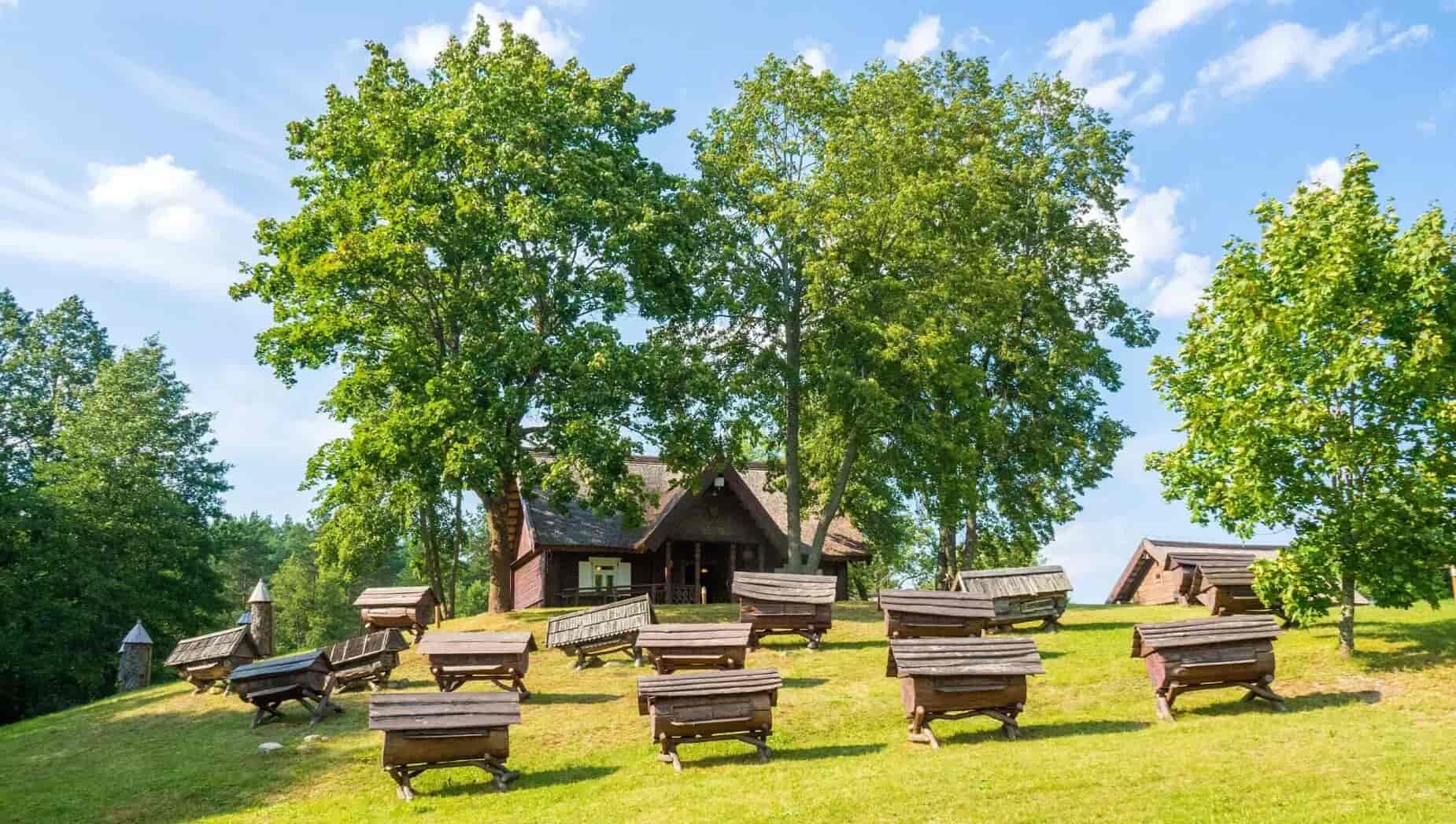This image shows the Lithuanian Museum of Ancient Beekeeping situated in Aukštaitija National Park