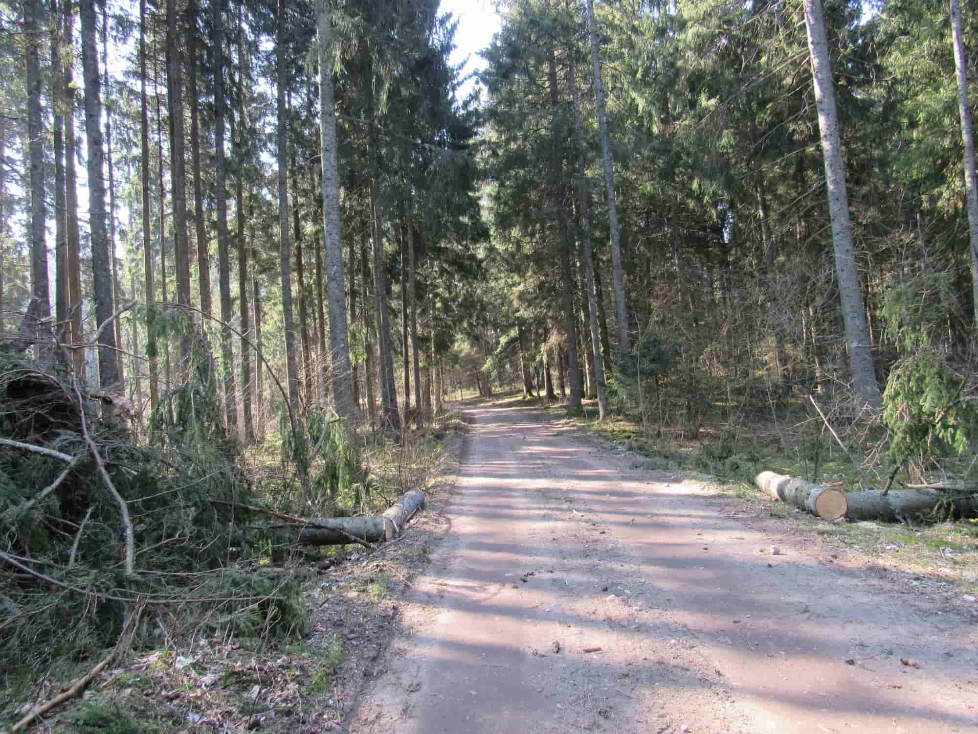 hiking and cycling around Lake Ilgis