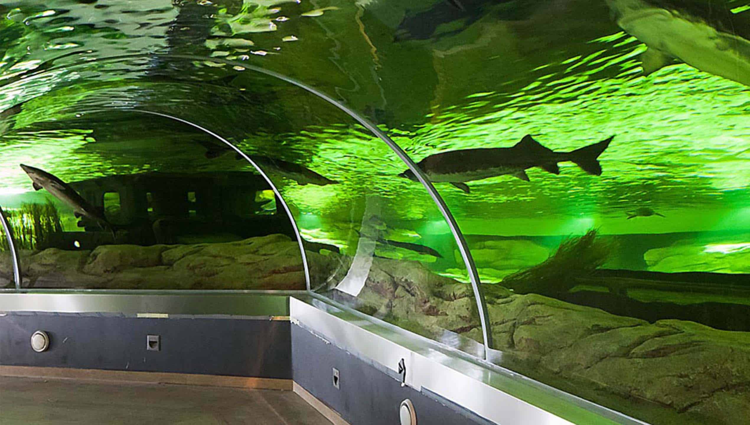 image of the Aquarium Tunnel at the Lithuanian Sea Museum
