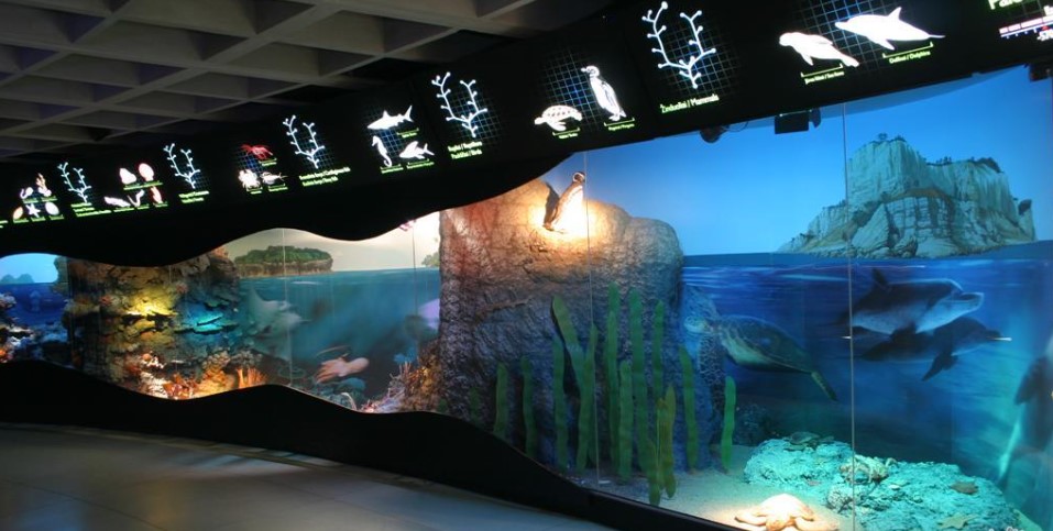 image of the Maritime History Exhibitions at the Lithuanian Sea Museum