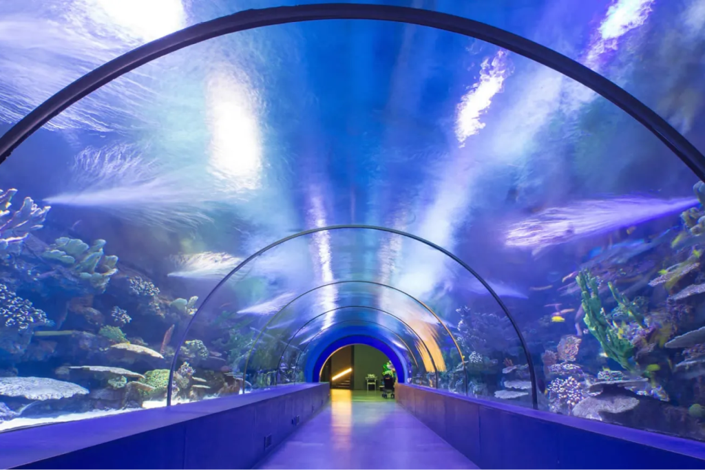 Aquarium tunnel