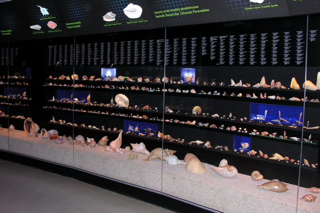 Sea museum exhibits