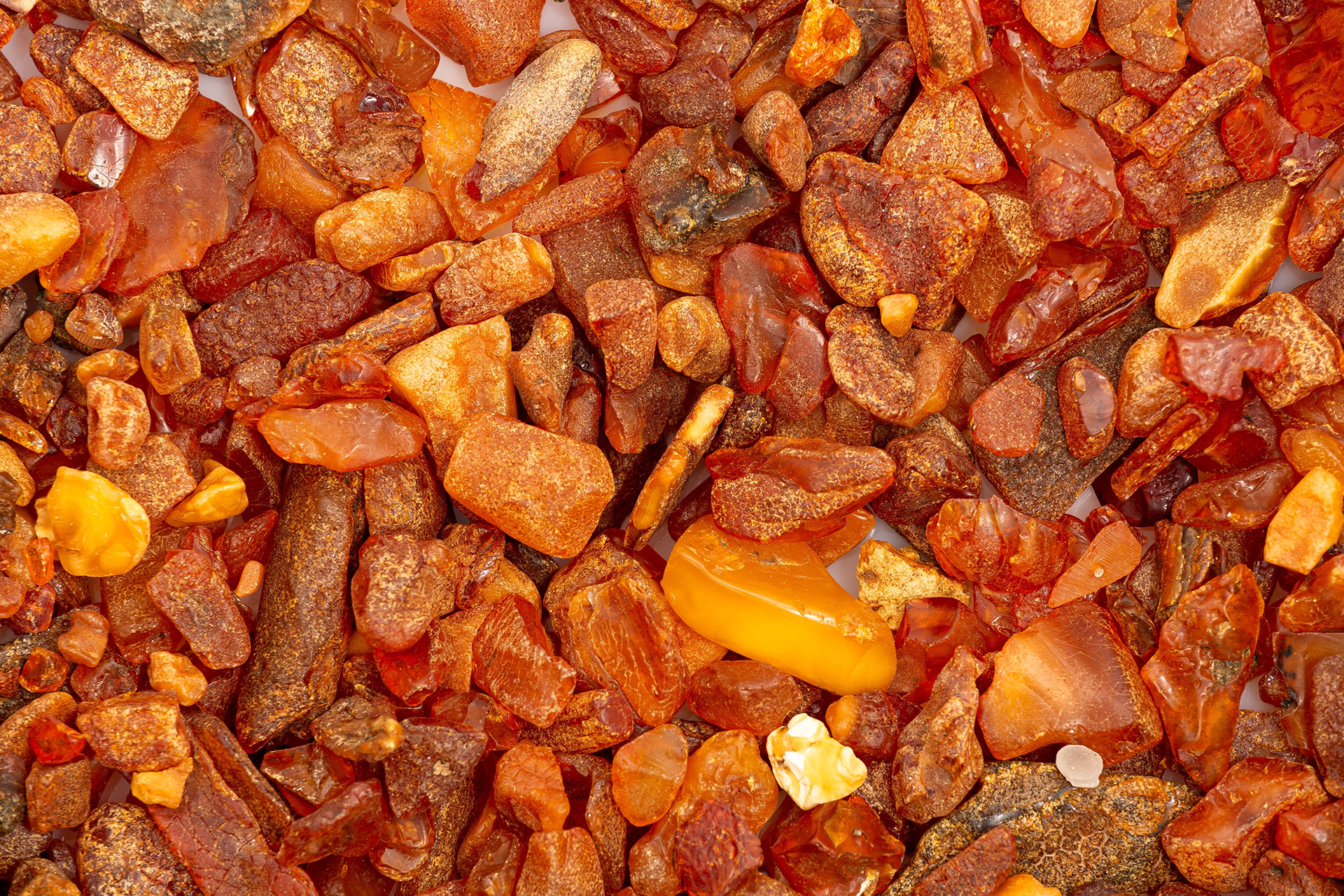 Assorted polished amber