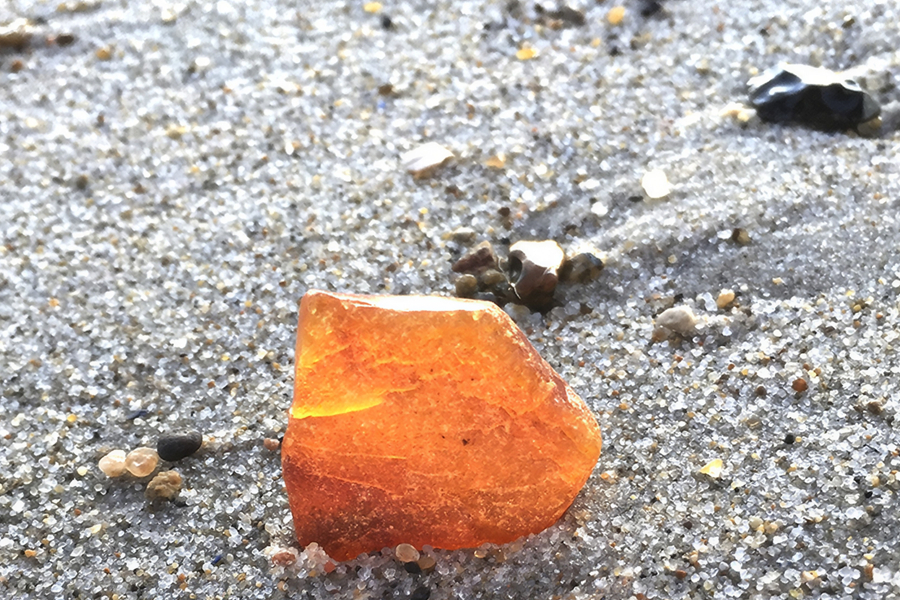 Small piece of golden Baltic amber lying on wet beach sand.