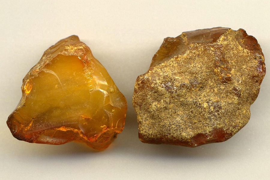 Two pieces of raw Baltic amber showing golden and brown natural surfaces.